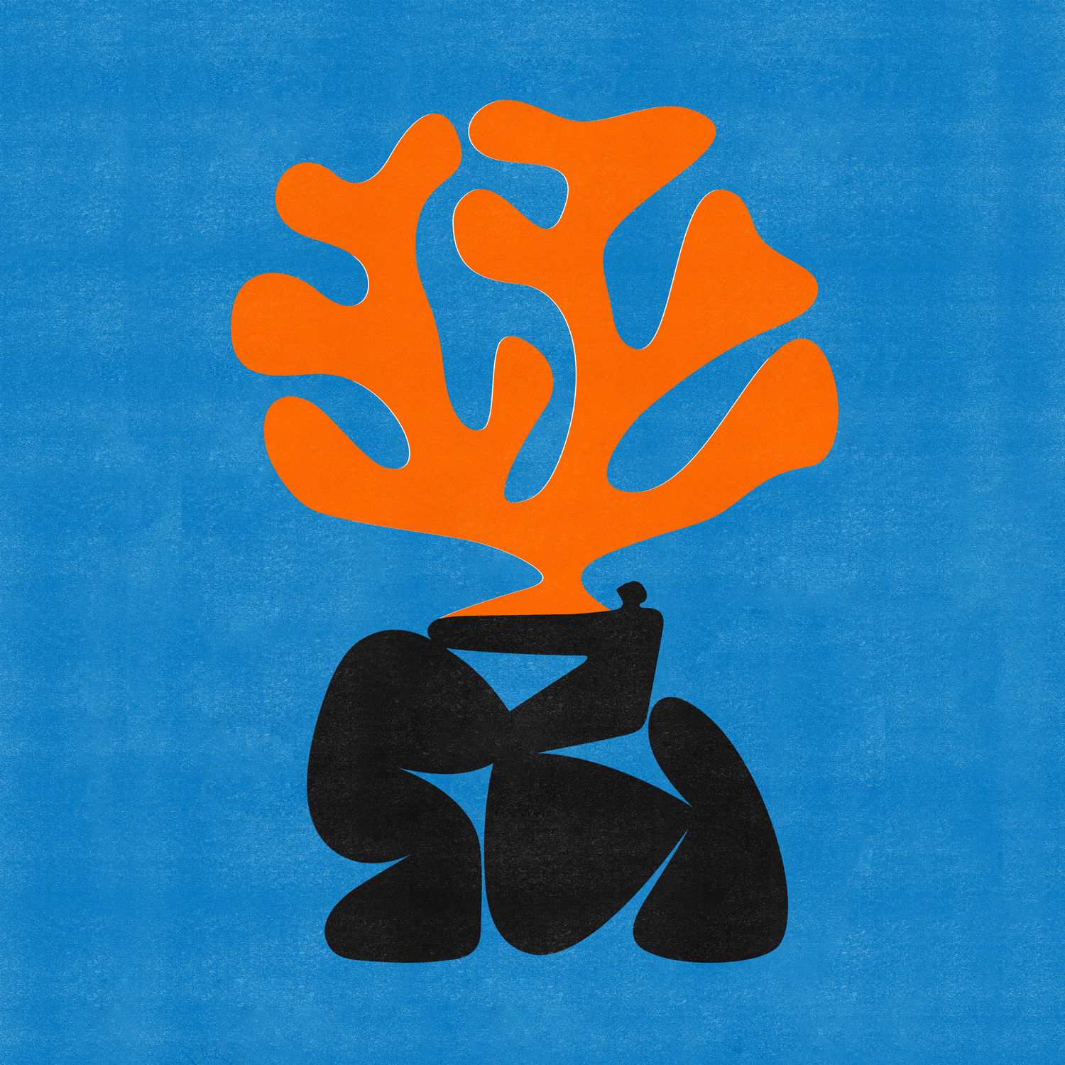 GabexRotholz_Riso_Cover